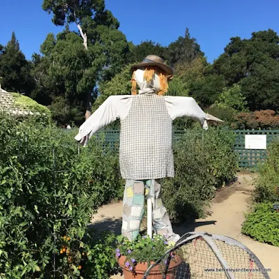 scarecrow at Elizabeth F. Gamble Garden in Palo Alto, California