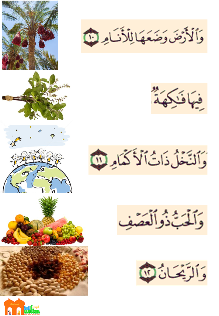 Mini Muslim اليوم الرابع من منهج الرحمن التأمل في الأرض والنباتات