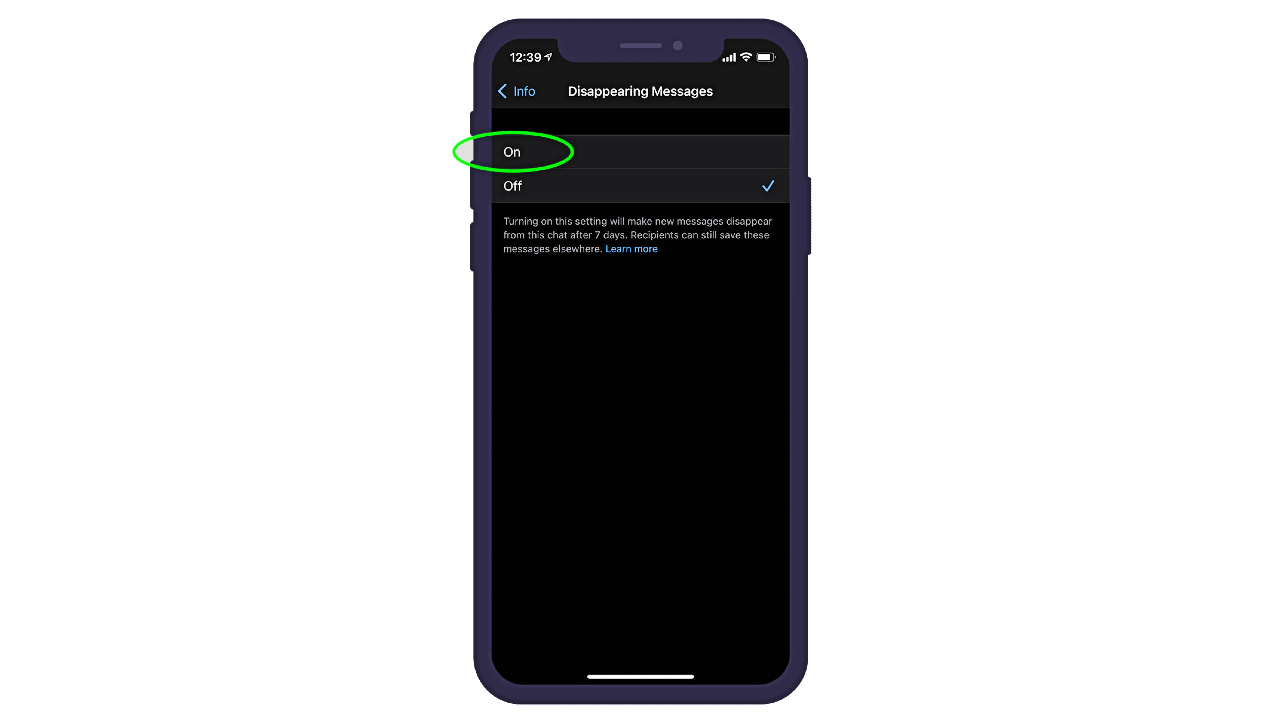 How To Make WhatsApp Messages Disappear After 7 Days - Daily Magazine 24