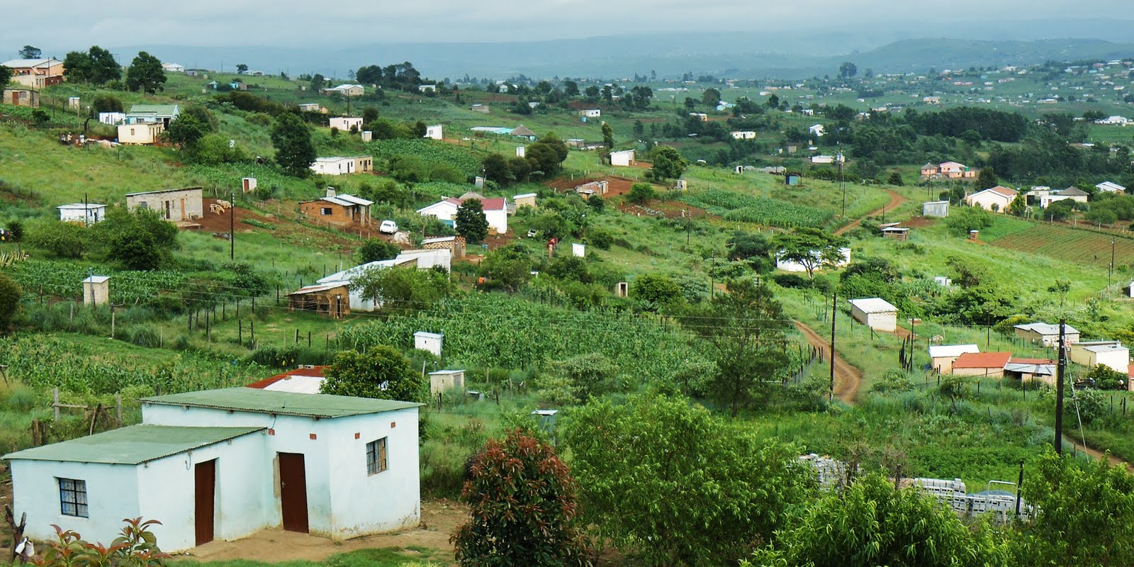 Go with Henry SouthAfrican outback Lusikisiki and Flagstaff in the