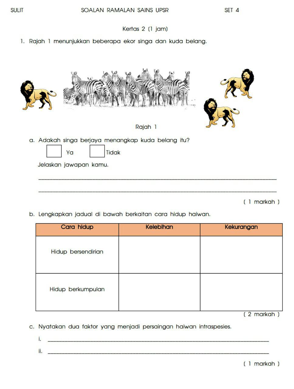 Contoh Soalan Matematik Upsr 2019 - Sample Site c