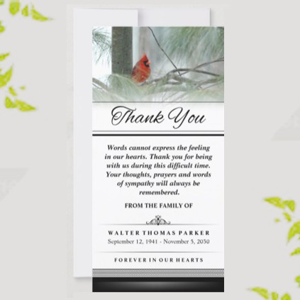 cardinal sympathy card vertical