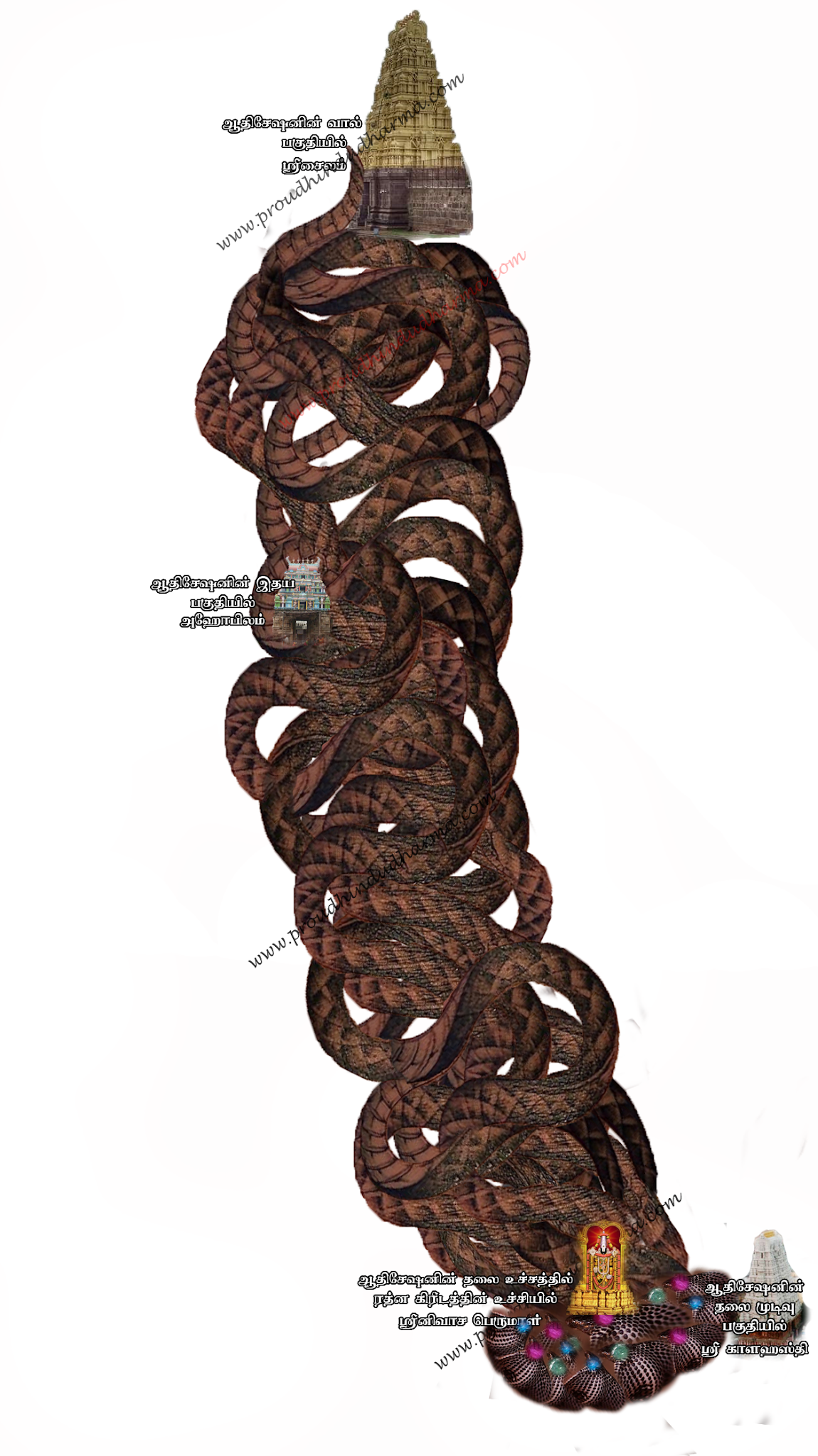 PROUD HINDU DHARMA 7 hills is AdiSesha. Where is the head,, heart and