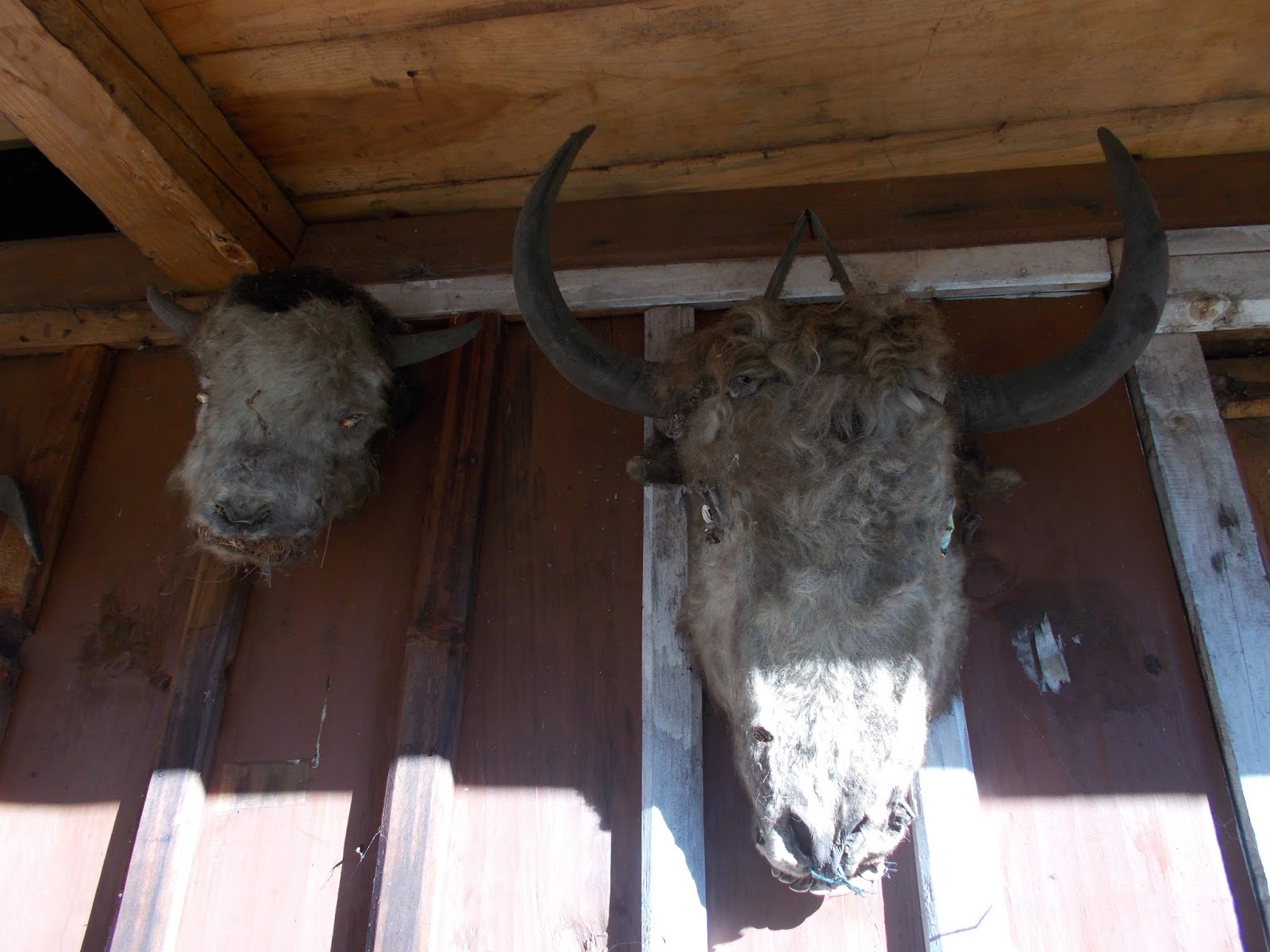 Вокруг Манаслу, долина Цум, Нар-Пу. Непал 2017.