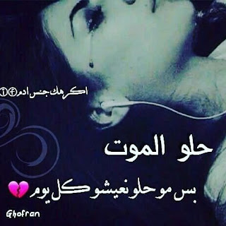 560f00a5c54dd248da84282ccdca7915