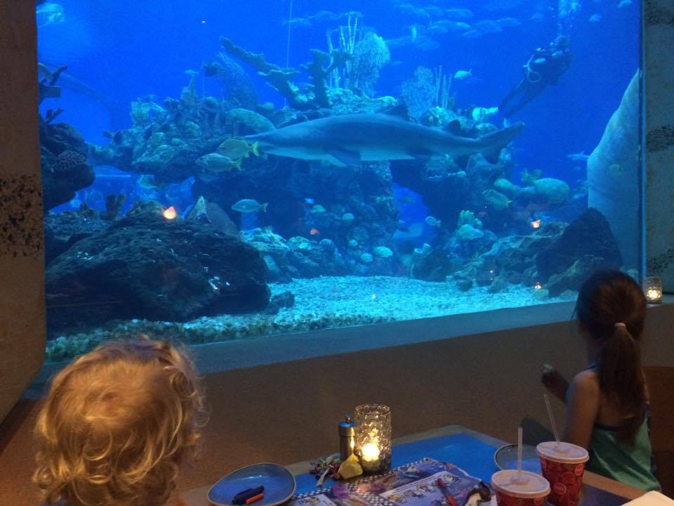 Coral Reef Restaurant Review