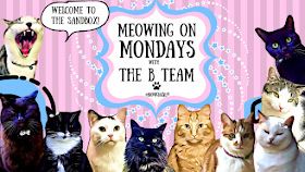 Meowing on Mondays ~ In The Sandbox with The B Team ©BionicBasil®