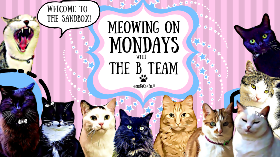 Meowing on Mondays ~ In The Sandbox with The B Team ©BionicBasil®