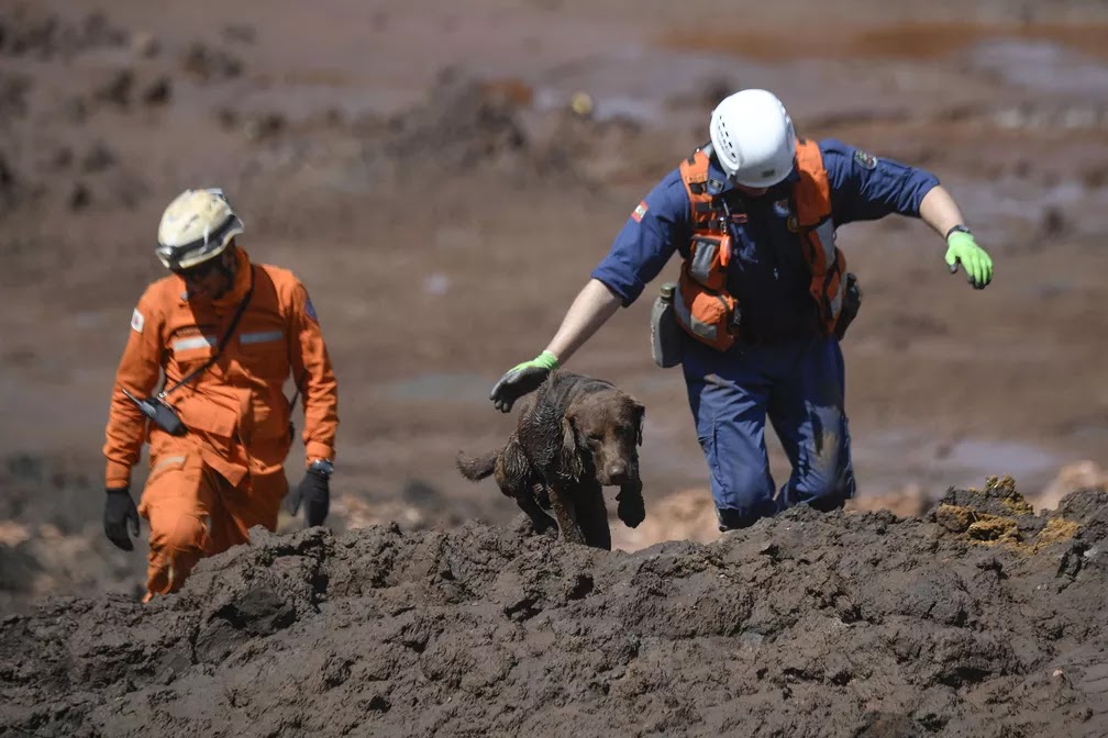 Resultado de imagem para Sobe para 115 número de mortos na tragédia de Brumadinho