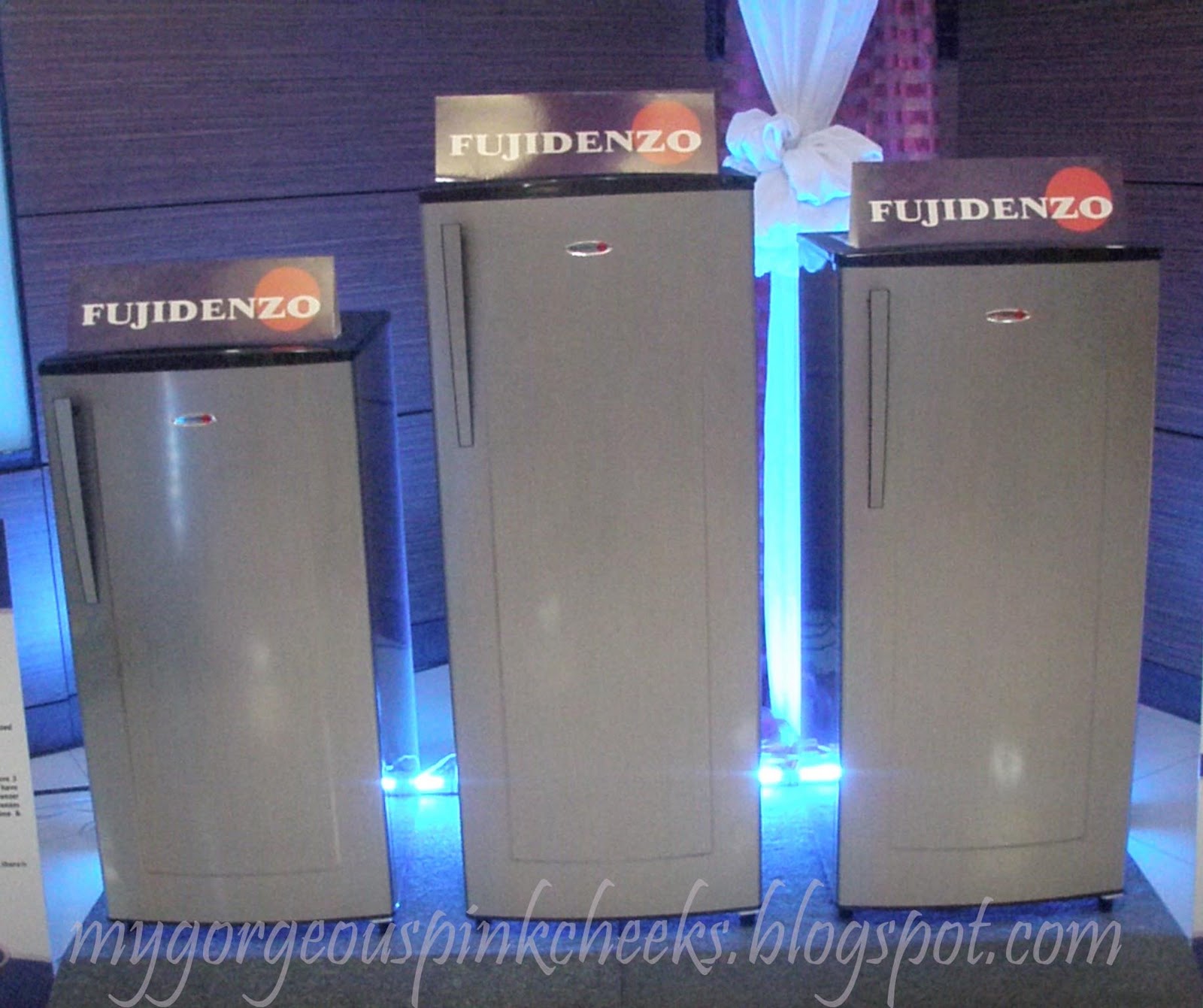 Fujidenzo Launches AllInOne Refrigerators My Pink Cheeks
