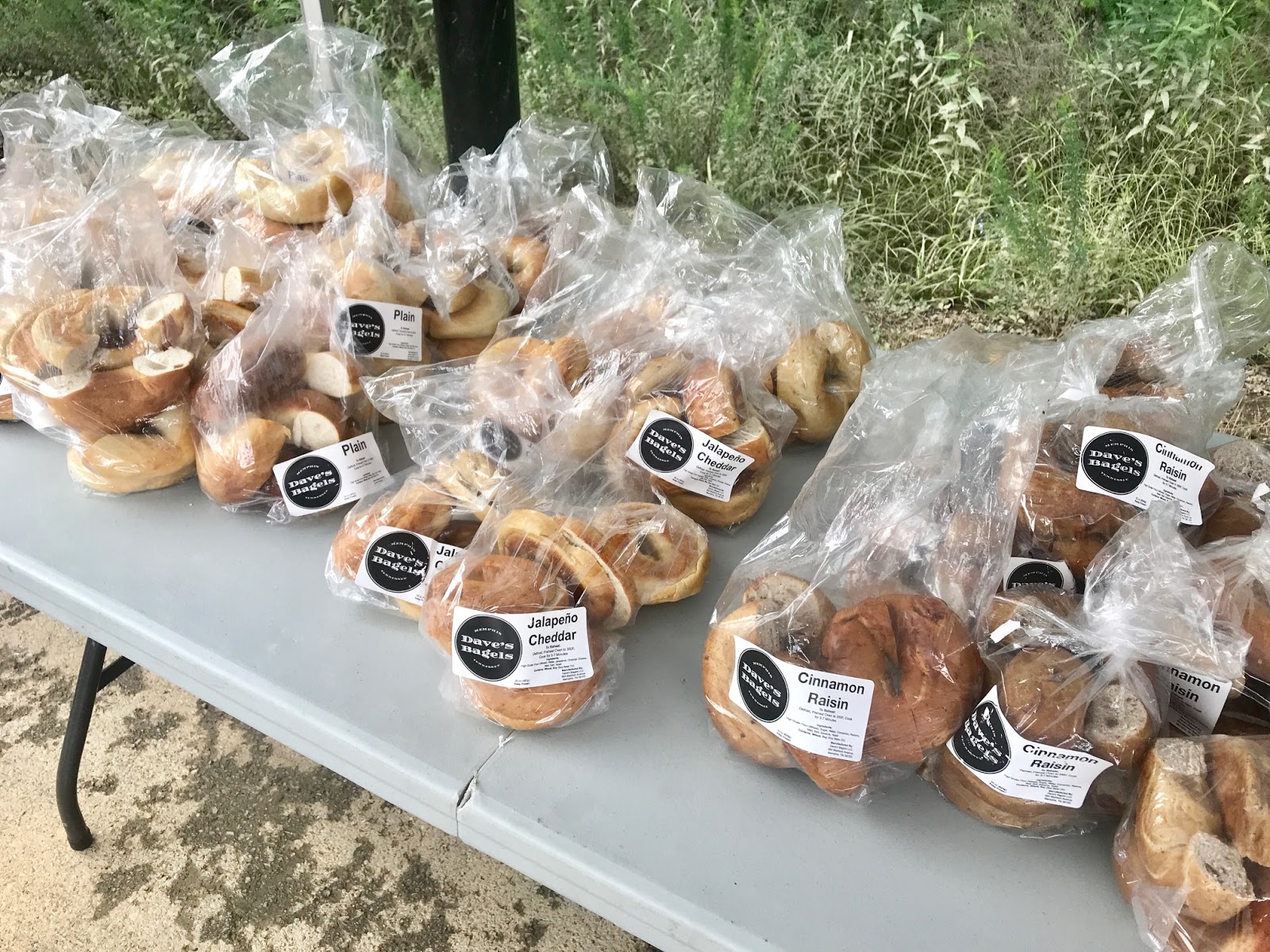 Vegan Crunk Race Recap Beer & Bagel OffRoad Series in Memphis