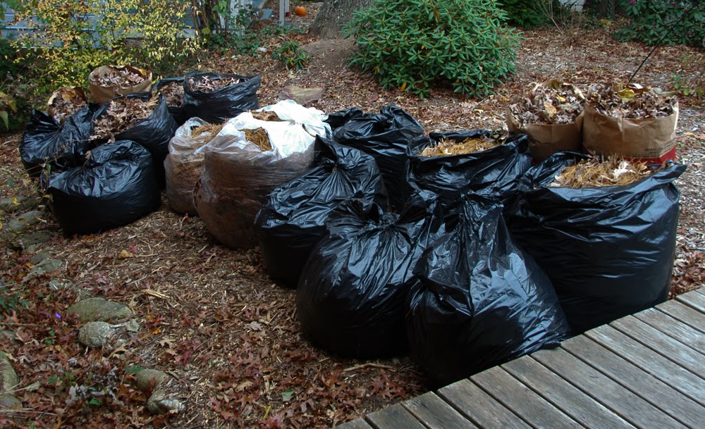 You can never have too many leaves! Garden Architecture Blog