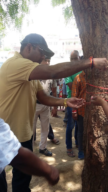 डीएम ने की तापसी ग्राम का भ्रमण