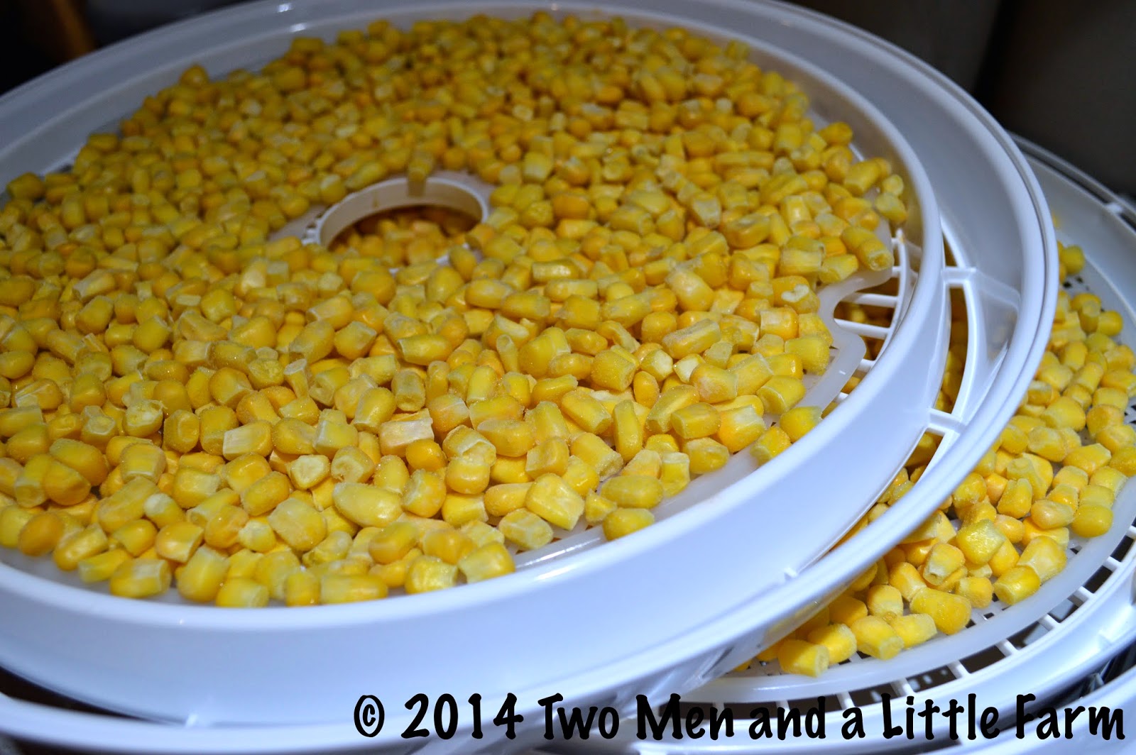 HOw To DEHYDRATING FROZEN CORN