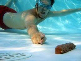 turd+in+pool.png