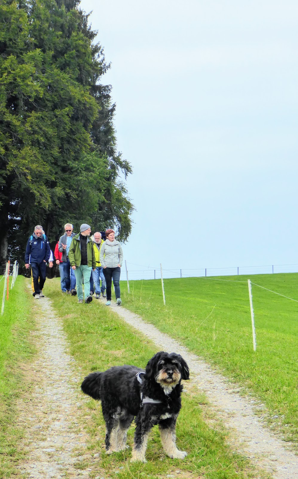 WWW 20 Leute und ein Hund