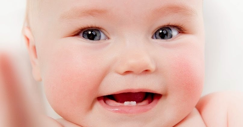 Usia Berapa Gigi Bayi Mulai Tumbuh Obat Sakit 2019