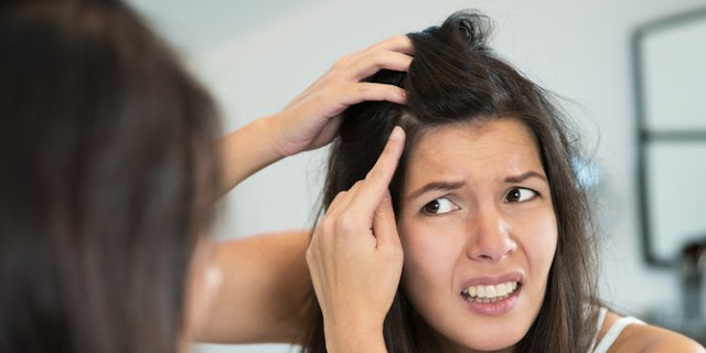 Inilah Khasiat yang Terkandung Dalam Daun Pandan untuk Kecantikan Inilah Khasiat yang Terkandung Dalam Daun Pandan untuk Kecantikan