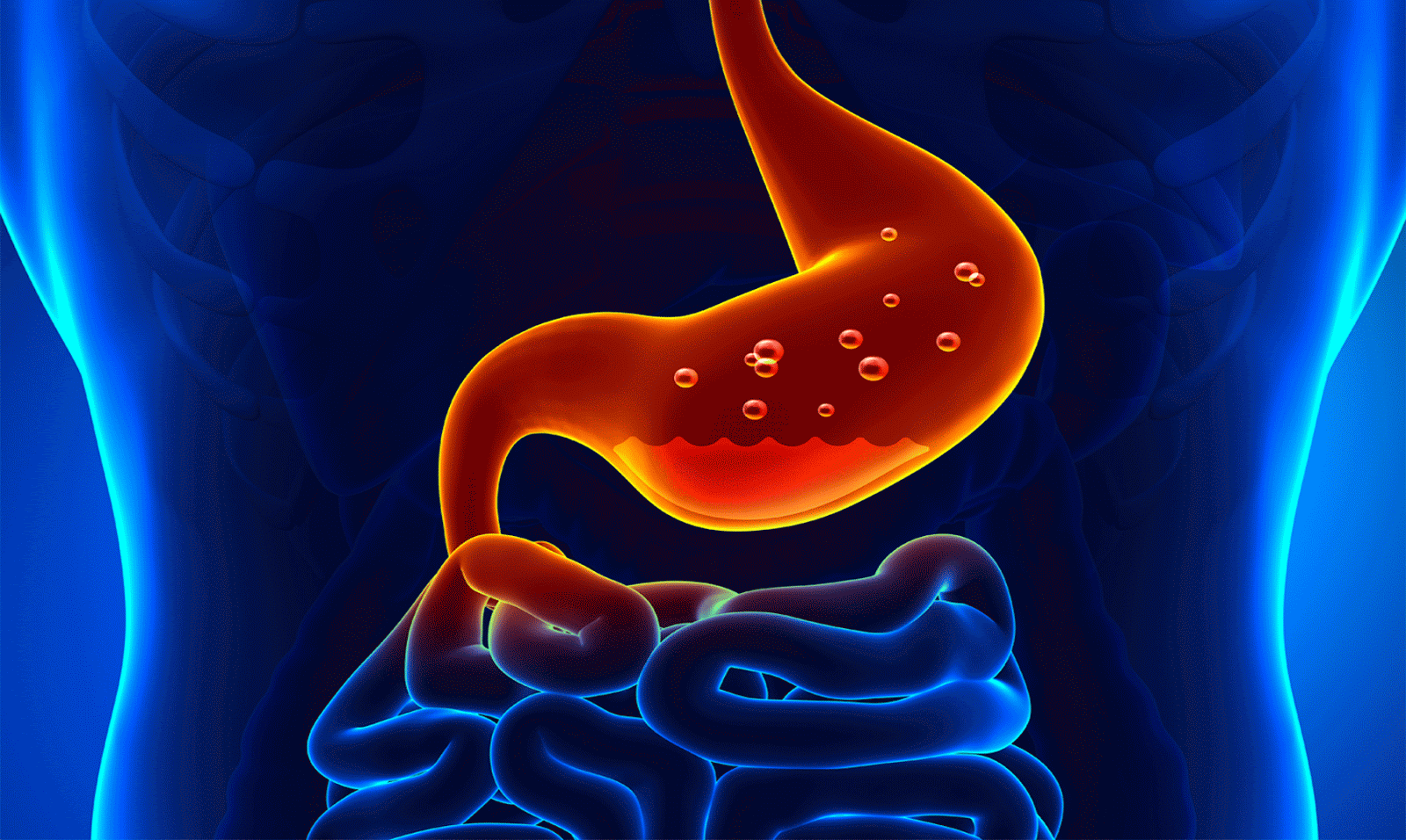 Gastritis síntomas, causas y tratamientos » Medical CalZeg Artículos médicos, Noticias