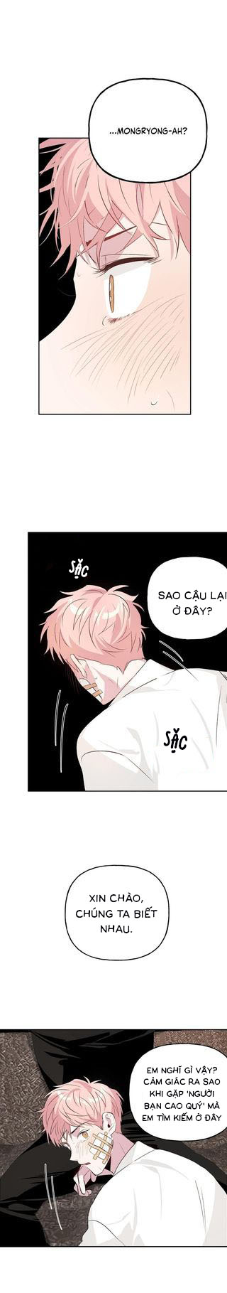 Đọc truyện Assorted Wildness - Chapter 8