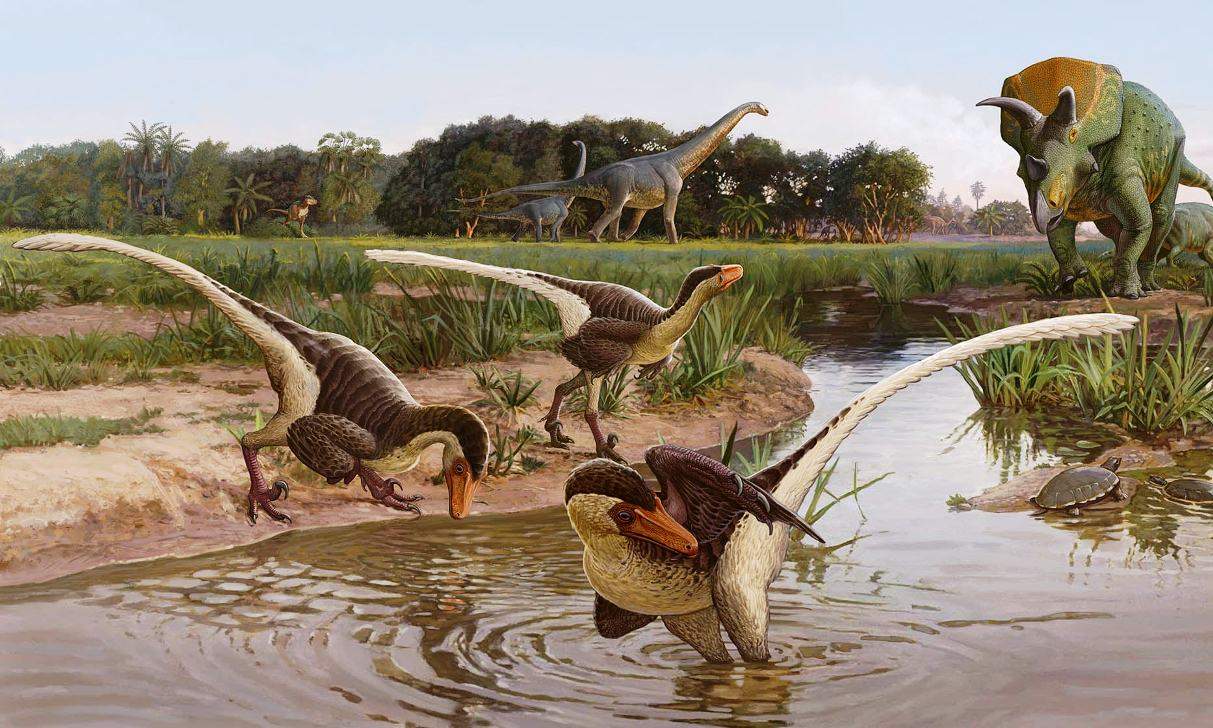 Fossil of 67myearold Raptor Dinosaur Found in New Mexico Geology In