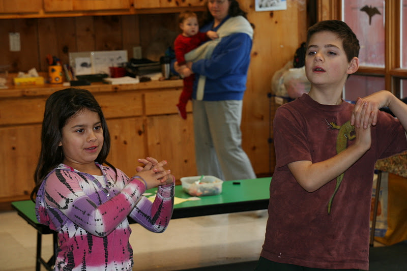 Hitchcock Center Homeschool Why Do Evergreens Stay Green In The Winter?