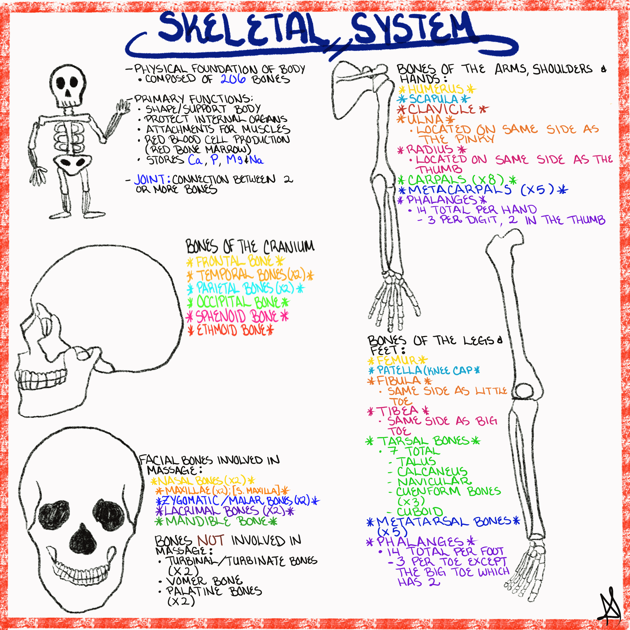 Bones (TV series) visual data 4