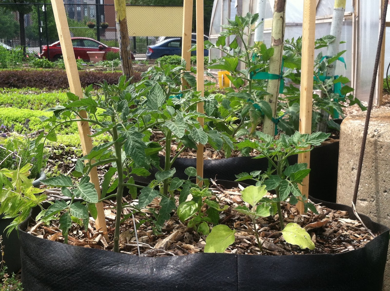 Plant 2013 urban farmer Smart pots