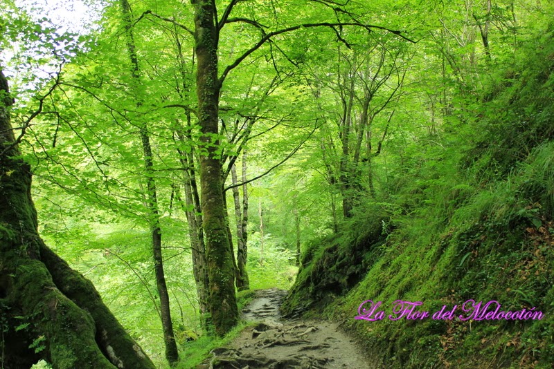 Camino al puente de Holtzarte