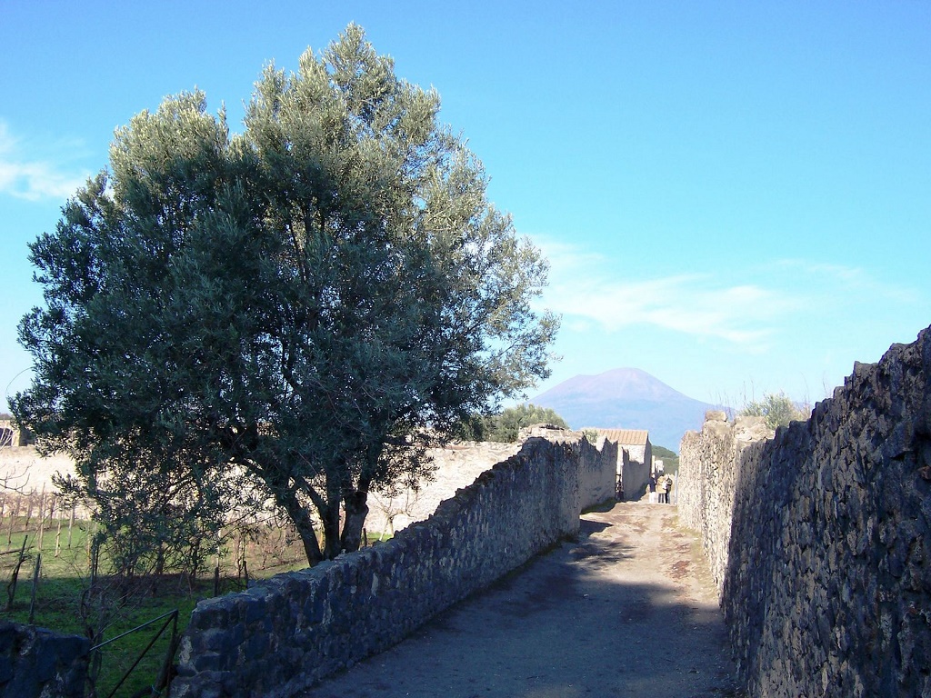 Almacén de clásicas POMPEYA CASA DEL JARDÍN DE HÉRCULES, CASA DE LA NAVE EUROPA Y HUERTO DE Almacén de clásicas POMPEYA CASA DEL JARDÍN DE HÉRCULES, CASA DE LA NAVE EUROPA Y HUERTO DE
