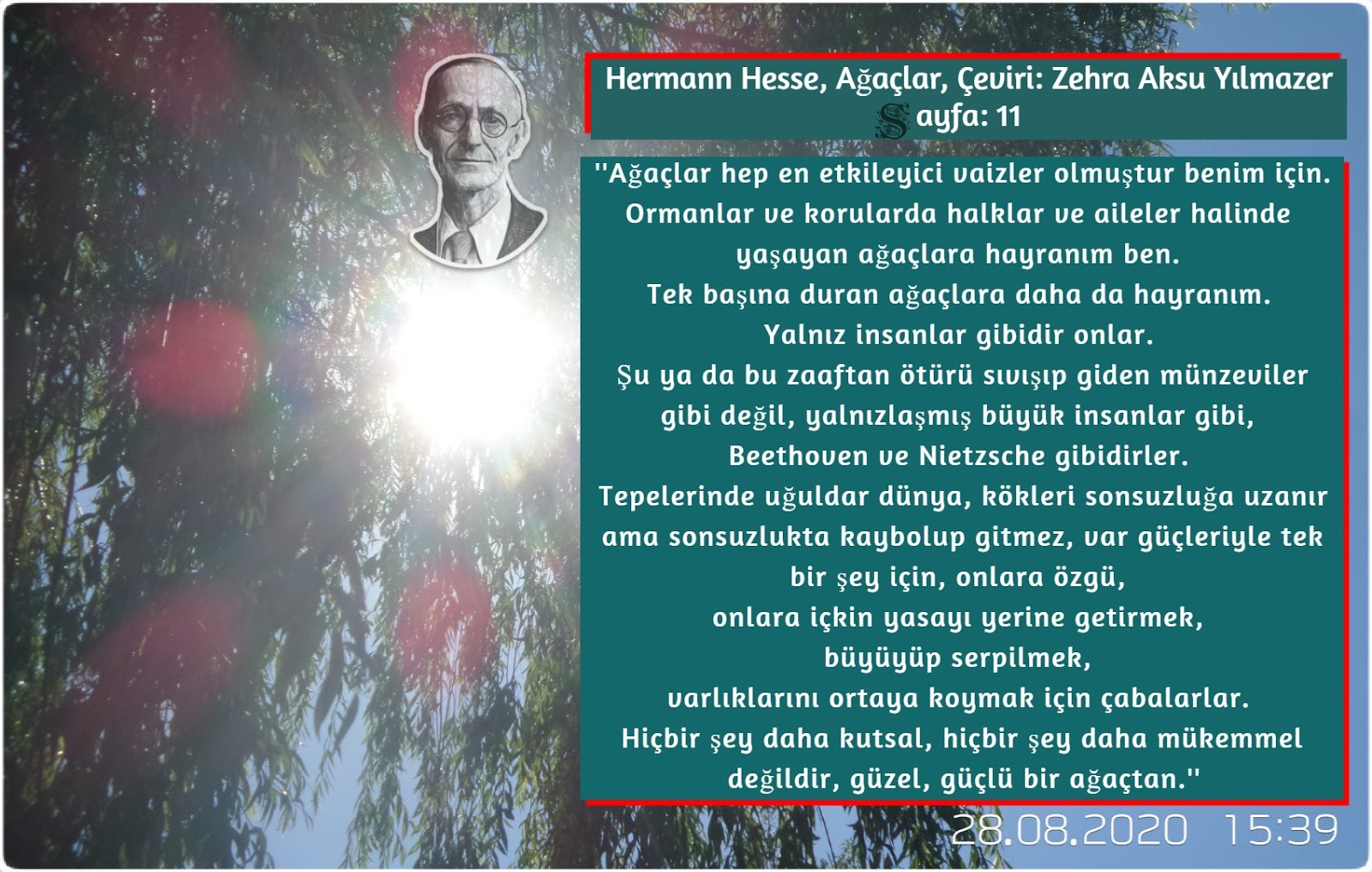 Hermann Hesse - Ağaçlar.