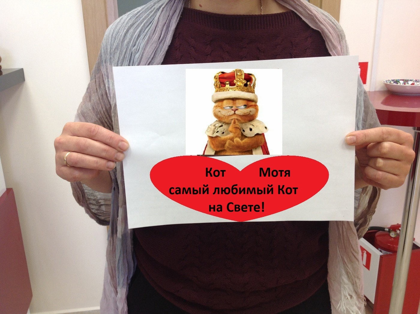 антимышовая коалиция кота