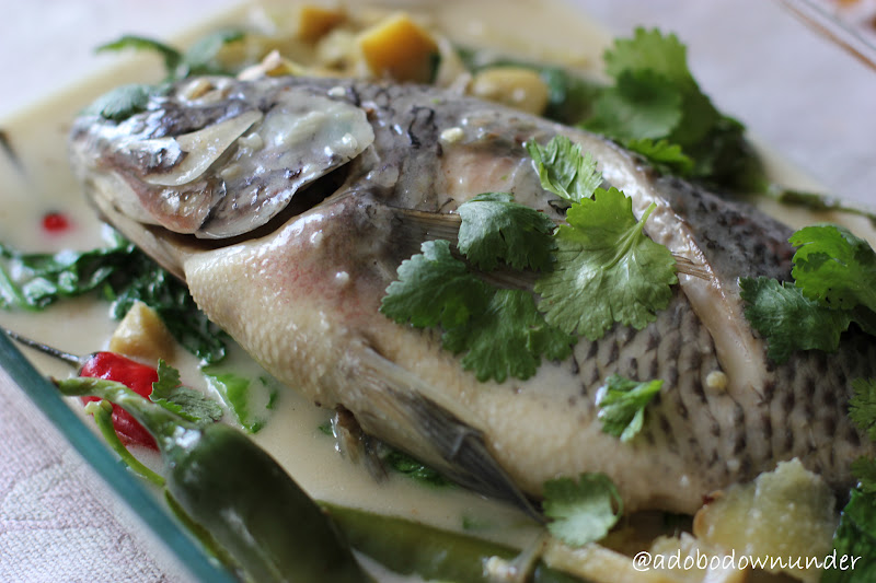 adobo down under Shallowpoached tilapia in coconut milk with chillies