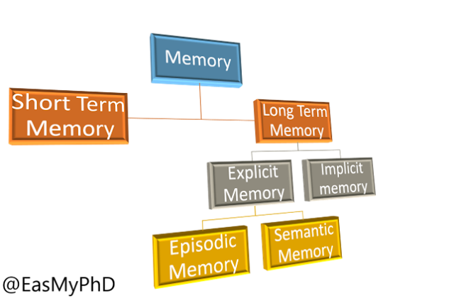 Types of Memory: Explicit Memory and Implicit Memory