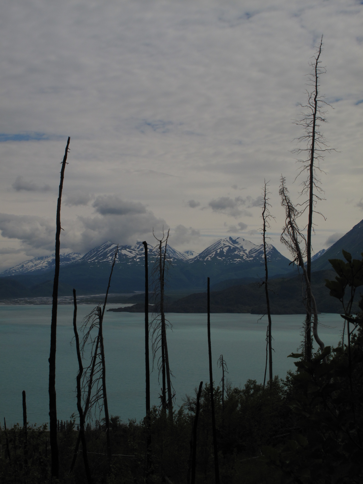 BASECAMP NIKISKISkilak Lookout Trail