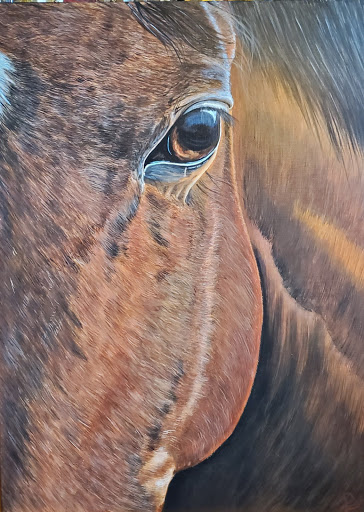 Horse's Eye