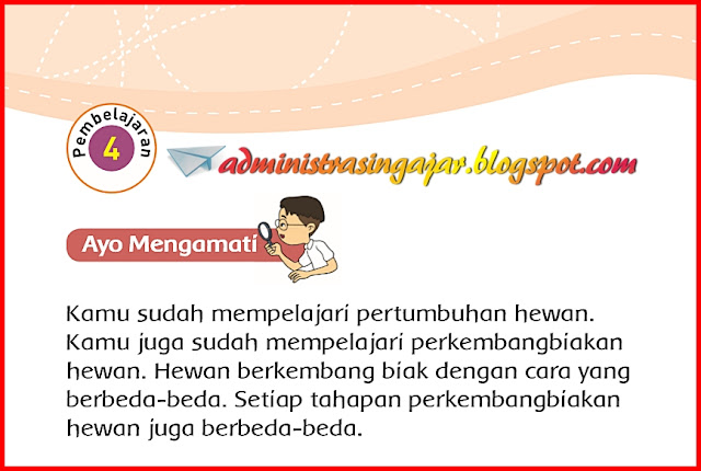 Kunci Jawaban Soal Tematik Tema 1 Kelas 3 Halaman 125 126 128 129 - Pestcare Jakarta
