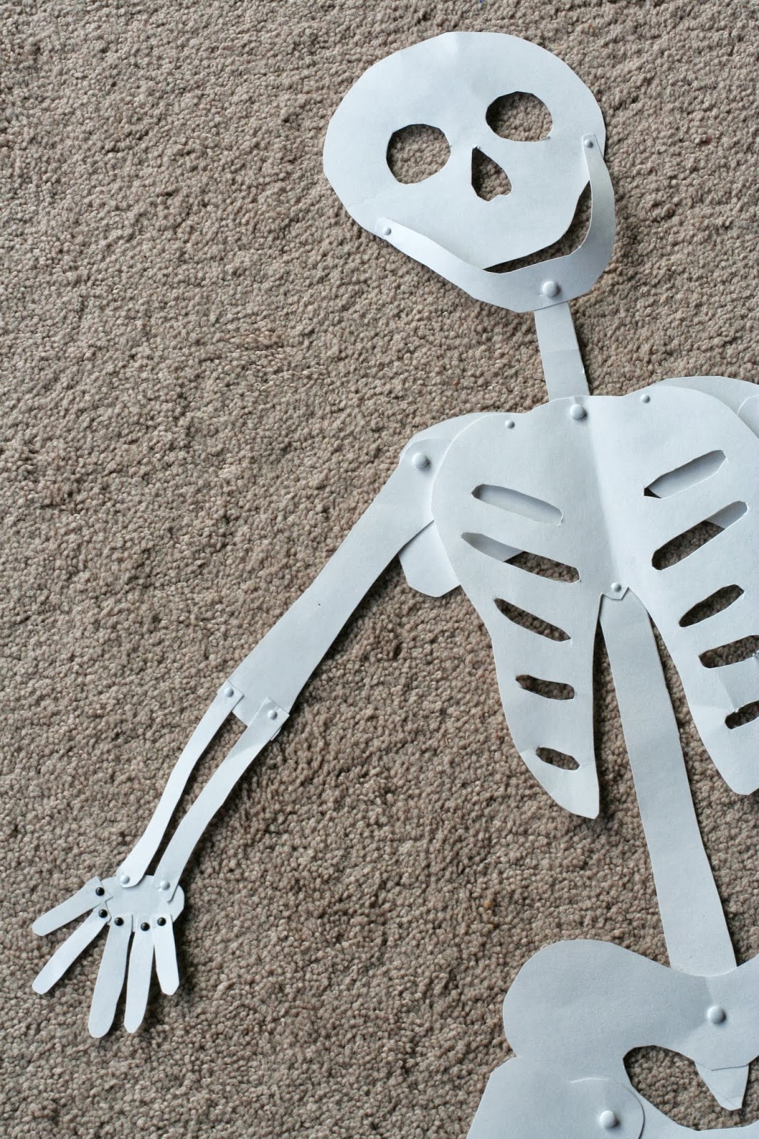 20 Fun Bone-Themed Activities for Elementary Students - Teaching Expertise