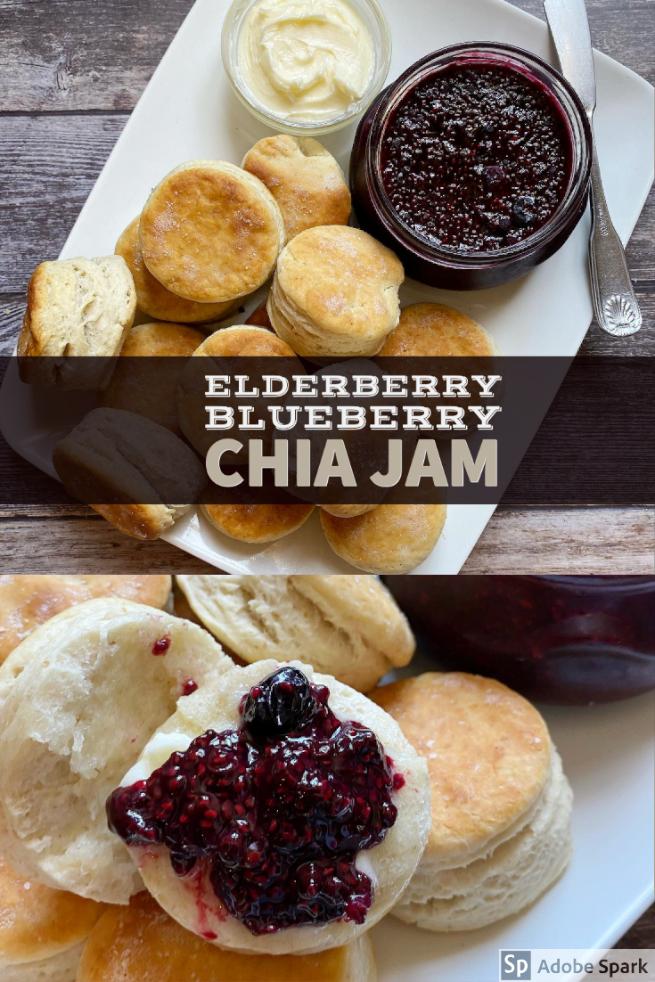 Summer Foraging Recipe ElderberryBlueberry Jam with Chia Seeds