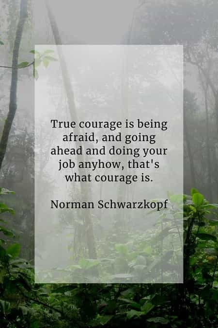 Courage quotes that'll help you become more courageous Courage quotes that'll help you become more courageous