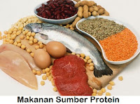 Makanan yg Mengandung Sumber Protein Tinggi 20 Makanan yg Mengandung Sumber Protein Tinggi