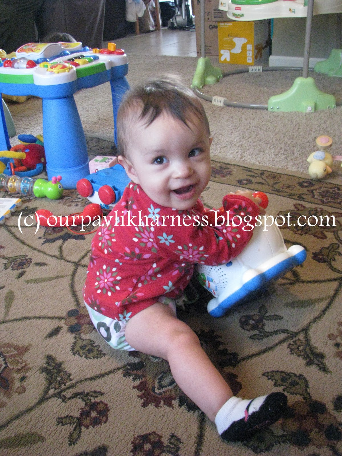 Our Pavlik Harness and journey with Hip Dysplasia Life with a hip baby