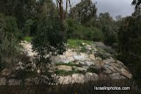 ישראל בתמונות: גן לאומי נחל רובין - שפך נחל שורק
