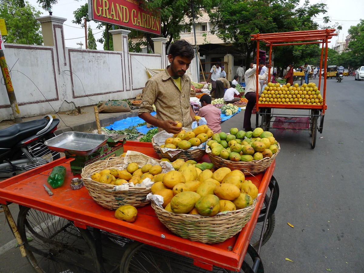 a white mughal's kitchen Mango Mania in India