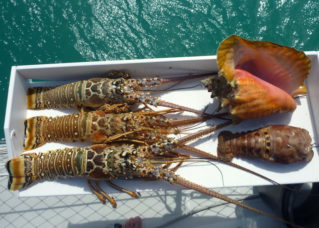 Adventures of s/v Tybee Time Eleuthera