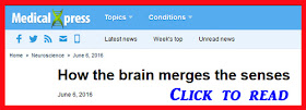 http://mindbodythoughts.com/merging-of-senses-in-the-brain/