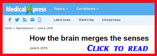 http://mindbodythoughts.com/merging-of-senses-in-the-brain/