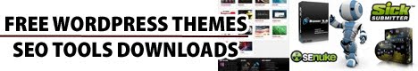 Free WordPress Themes and SEO Tools Downloads