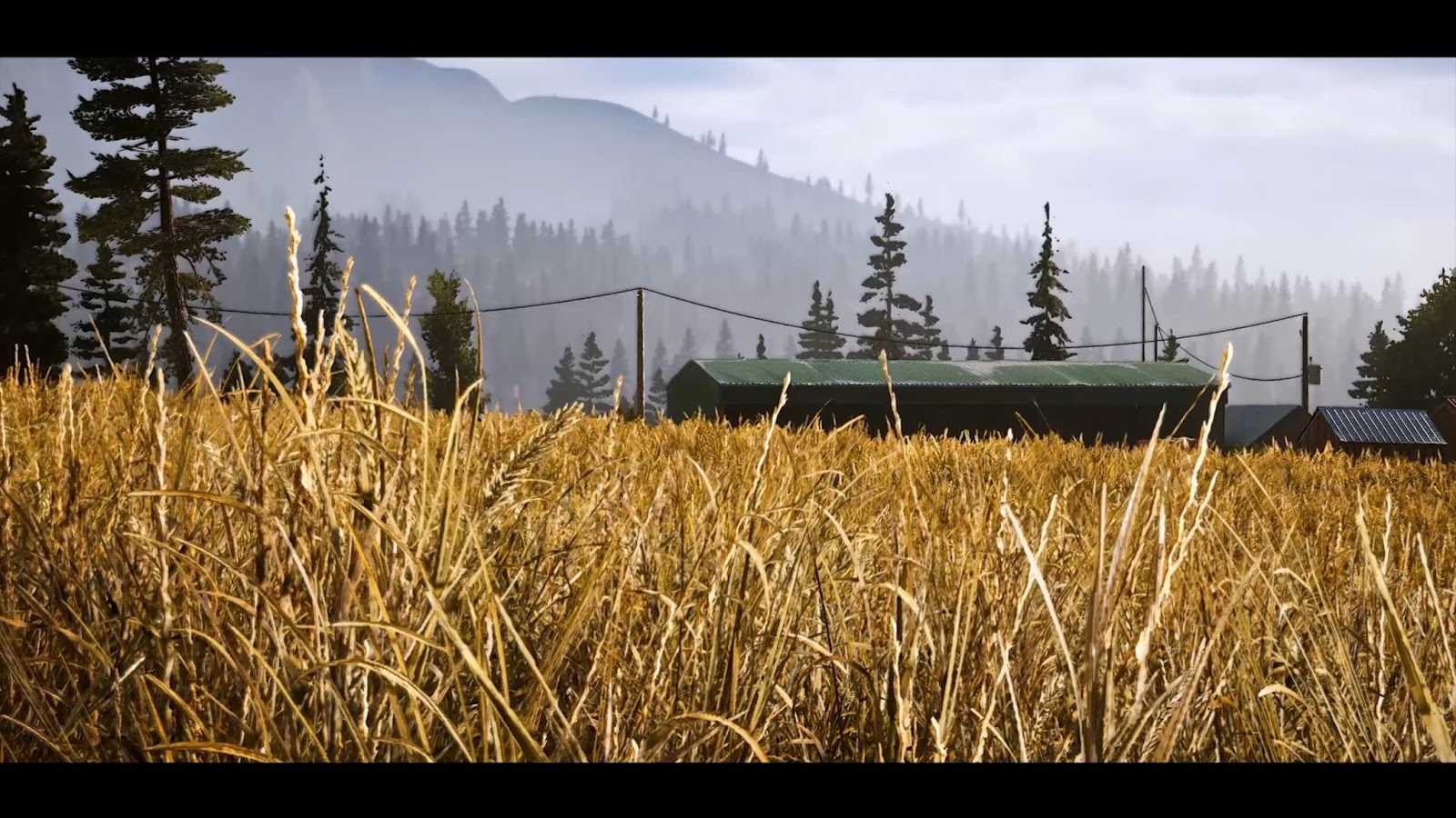 Far Cry 5 Ultra Realistic Graphics Mod