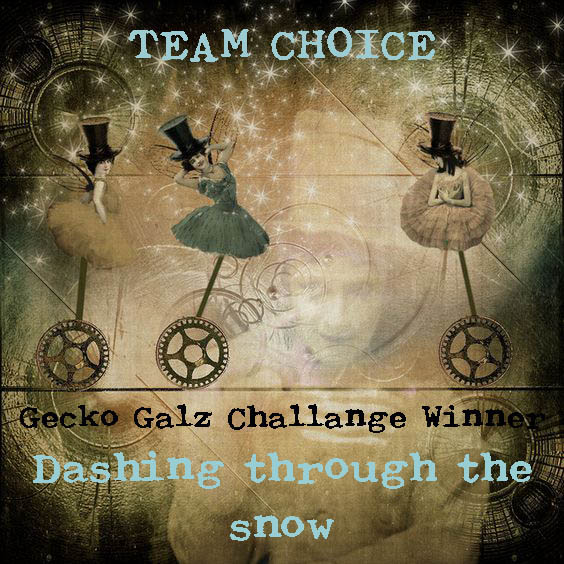 Gecko Galz Challange Winner